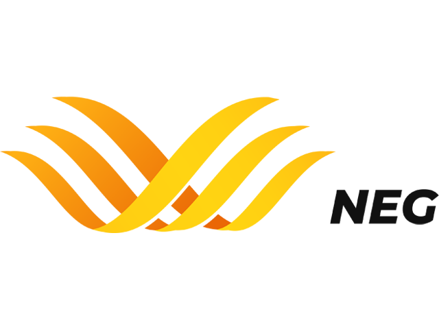 Colorful, stylized yellow and orange logo with black text 'NEG' beside it.